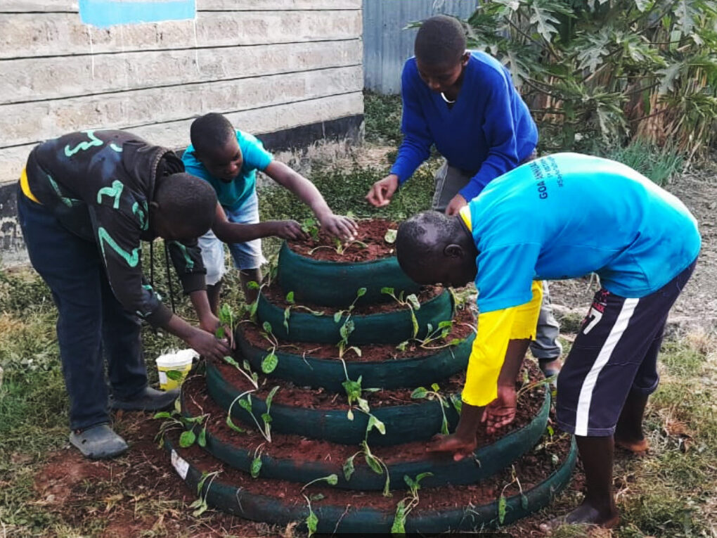 Vier Jungs pflanzen Setzlinge