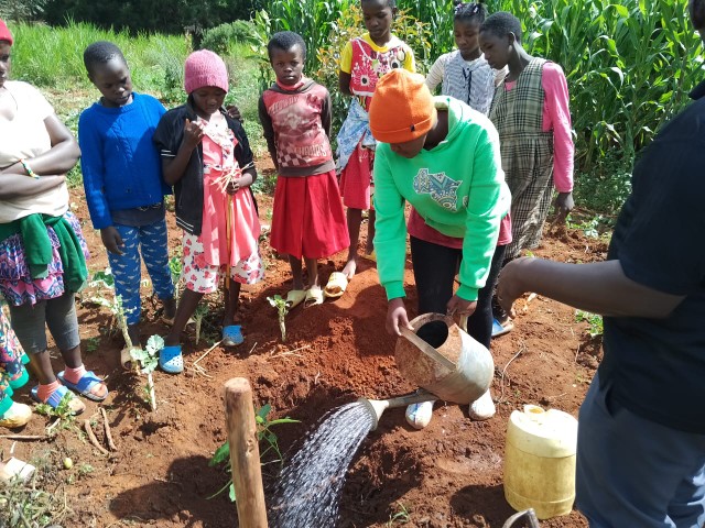 Ein Heimkind aus einer Gruppe giesst eine frisch gesetzte Pflanze