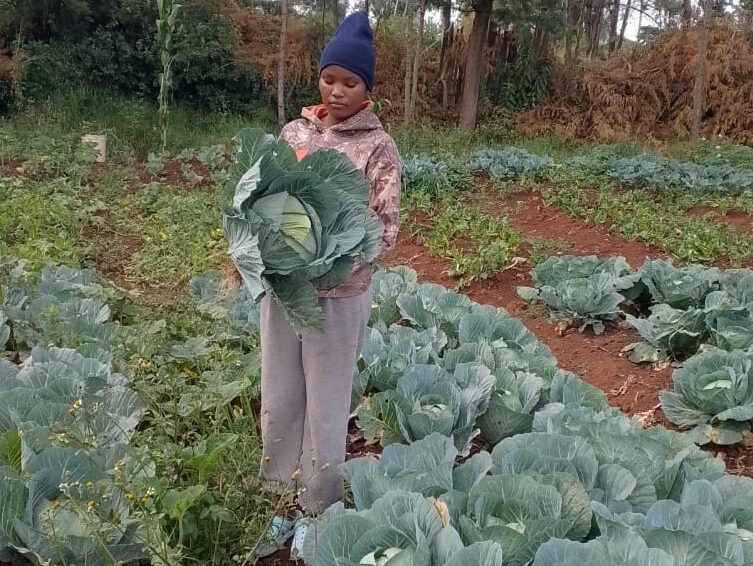 Mädchen auf einem Gemüsefeld trägt einen Kohlkopf